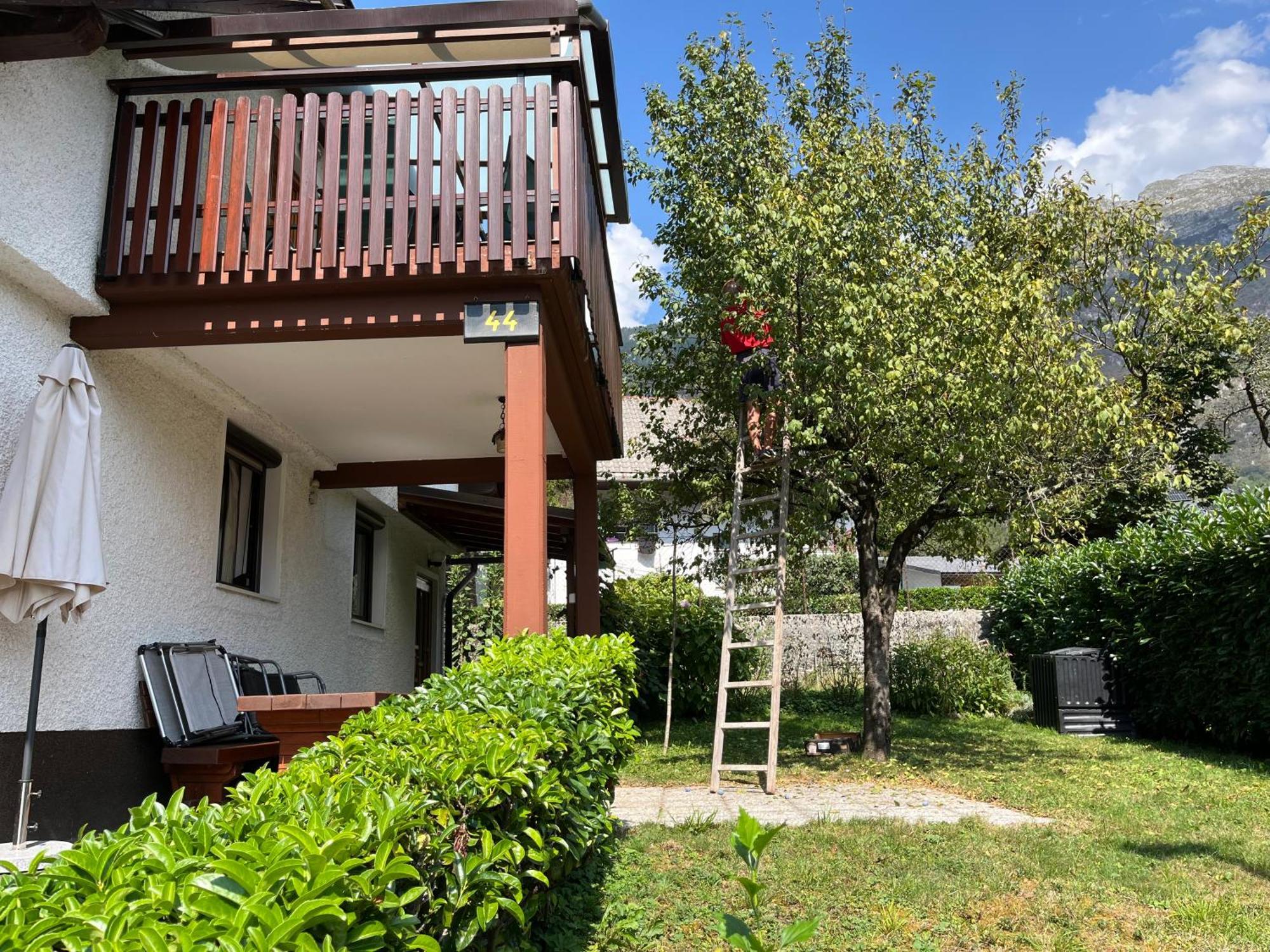 Apartments And Rooms Tajcr Bovec Eksteriør billede