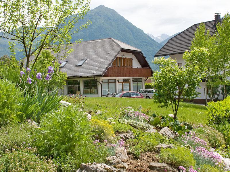 Apartments And Rooms Tajcr Bovec Eksteriør billede